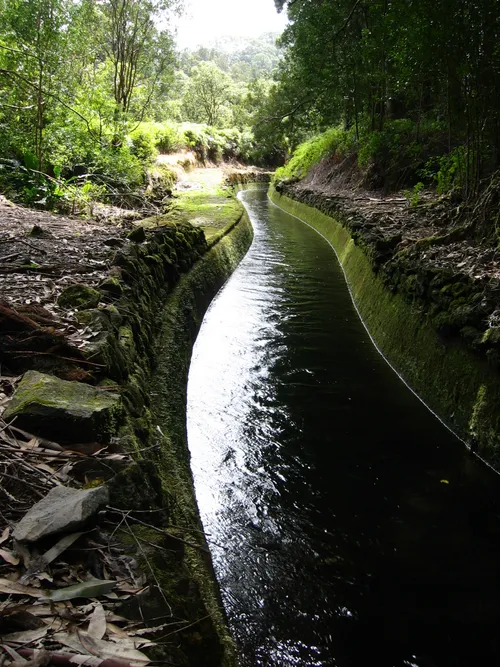 Photo 93 from Maui, 2003