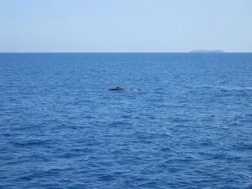 Photo 68 from Maui, 2003