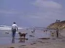 Archival fragment 149 from Mexico, 2001