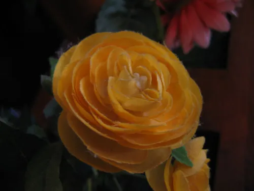Cover photo from Mom & Dad, 2003