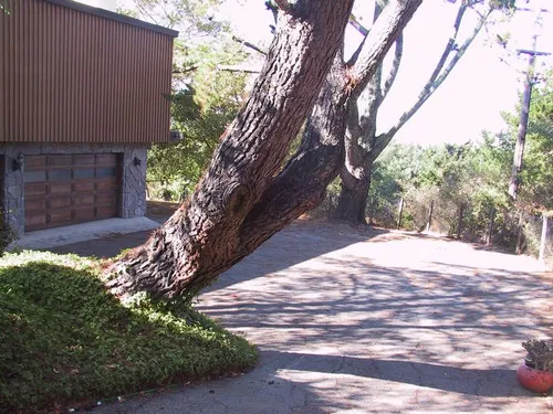 Photo 7 from New House, 2001