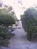 Archival fragment 14 from New House, 2001