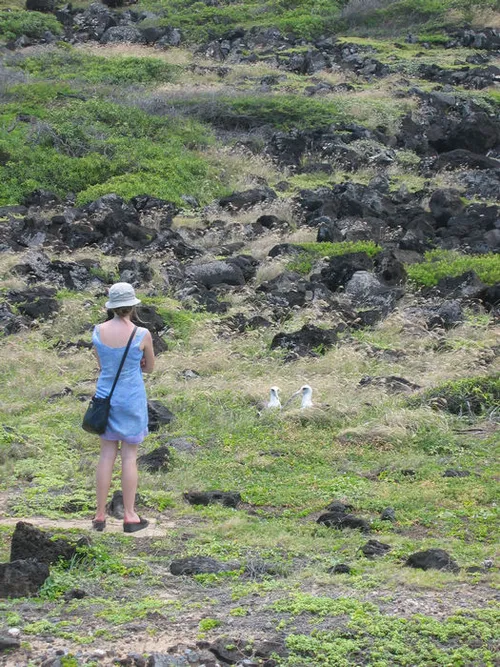 Photo 53 from Oahu, 2004
