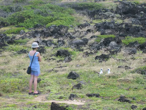 Photo 4 from Oahu, 2004