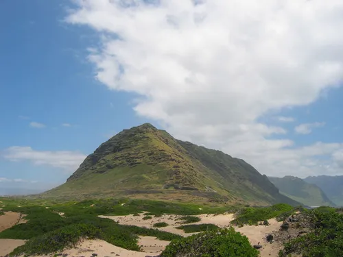 Photo 5 from Oahu, 2004