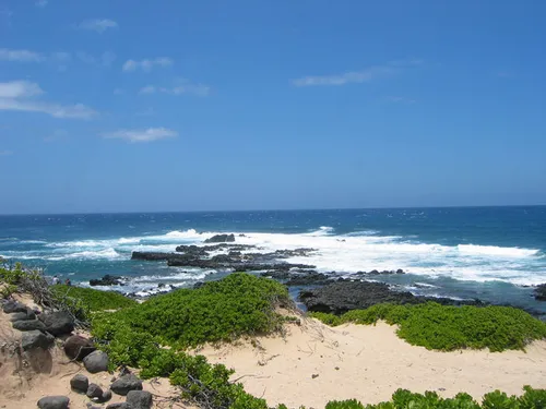 Photo 7 from Oahu, 2004