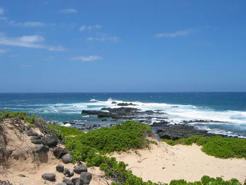 Photo 8 from Oahu, 2004