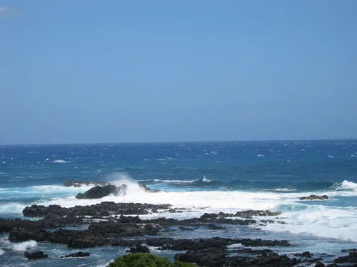 Photo 12 from Oahu, 2004