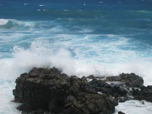 Photo 13 from Oahu, 2004