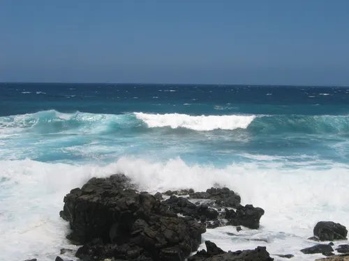 Photo 15 from Oahu, 2004