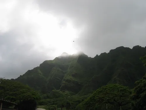 Photo 18 from Oahu, 2004