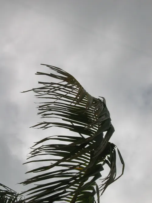 Photo 57 from Oahu, 2004