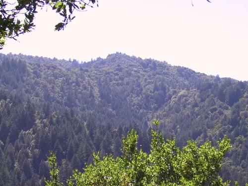 Photo 6 from Pepper, 2001