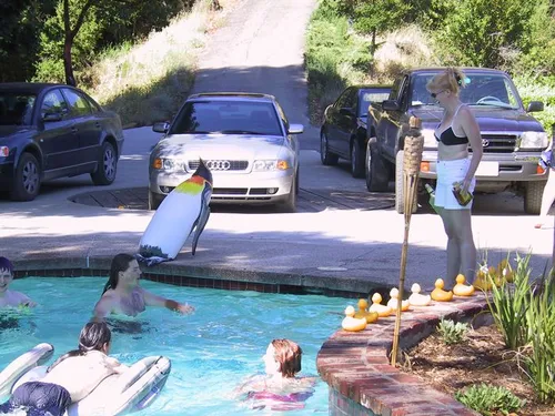 Photo 12 from Pepper, 2001