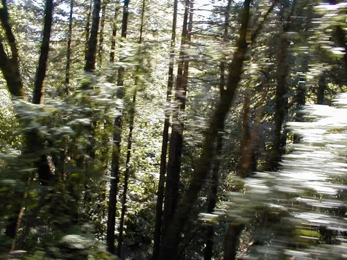 Photo 22 from Pepper, 2001