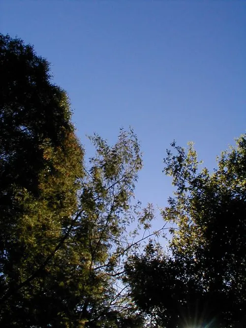 Photo 24 from Pepper, 2001