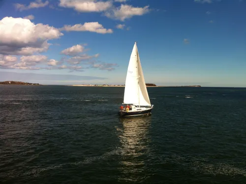 Photo 114 from Snapshots, Oct–Nov 2011