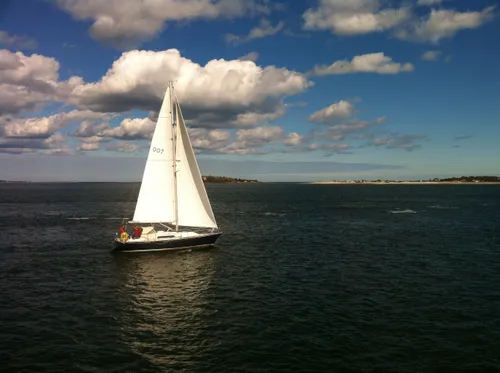 Photo 115 from Snapshots, Oct–Nov 2011