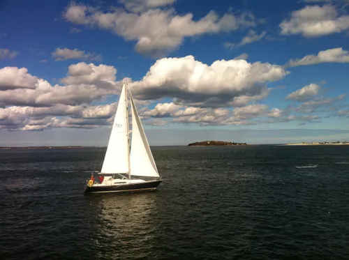 Photo 116 from Snapshots, Oct–Nov 2011