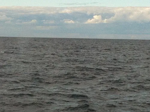 Photo 124 from Snapshots, Oct–Nov 2011