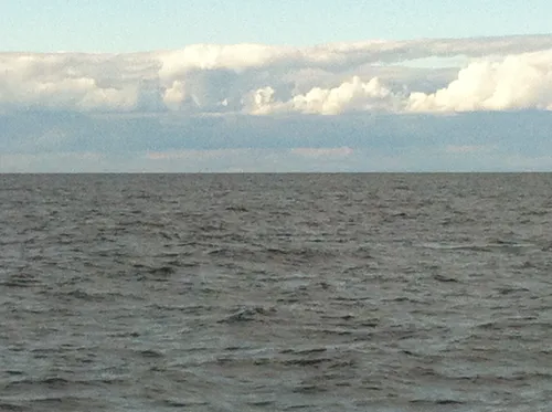 Photo 128 from Snapshots, Oct–Nov 2011