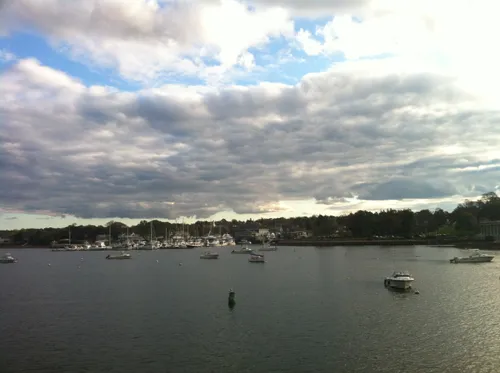 Photo 145 from Snapshots, Oct–Nov 2011