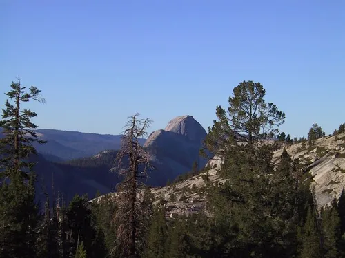 Cover photo from Yosemite, 2001