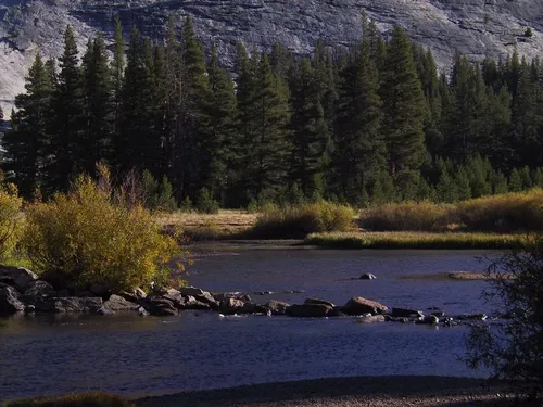 Photo 10 from Yosemite, 2001