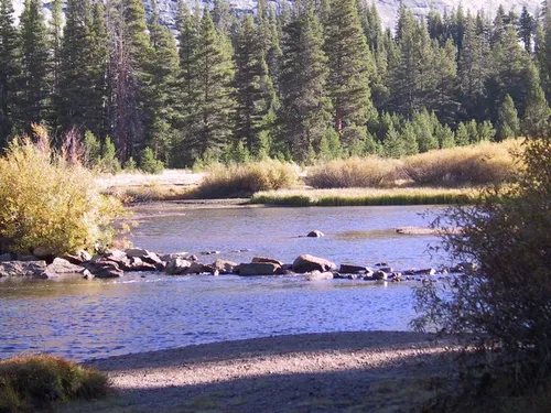 Photo 11 from Yosemite, 2001