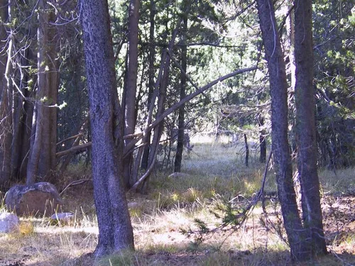 Photo 12 from Yosemite, 2001