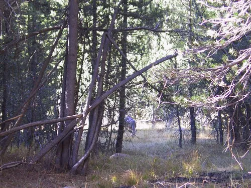 Photo 13 from Yosemite, 2001