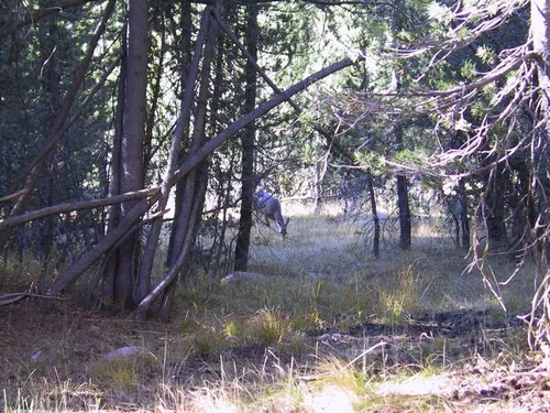 Photo 14 from Yosemite, 2001