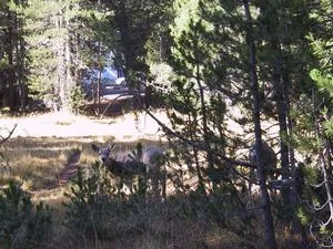 Photo 37 from Yosemite, 2001