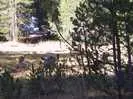 Archival fragment 4 from Yosemite, 2001