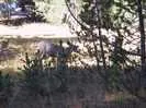 Archival fragment 5 from Yosemite, 2001