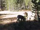 Archival fragment 6 from Yosemite, 2001