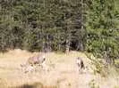 Archival fragment 10 from Yosemite, 2001