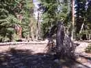 Archival fragment 13 from Yosemite, 2001
