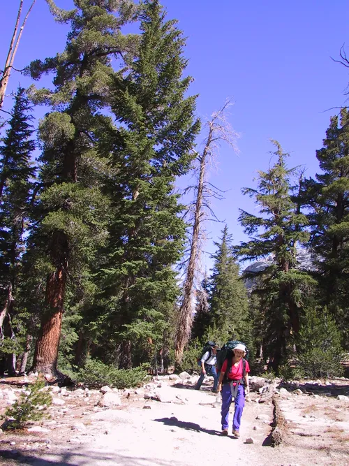 Photo 38 from Yosemite, 2001
