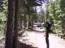 Archival fragment 15 from Yosemite, 2001