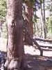 Archival fragment 17 from Yosemite, 2001
