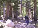 Archival fragment 19 from Yosemite, 2001