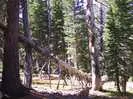 Archival fragment 20 from Yosemite, 2001