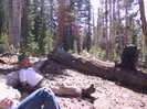 Archival fragment 23 from Yosemite, 2001