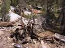 Archival fragment 29 from Yosemite, 2001