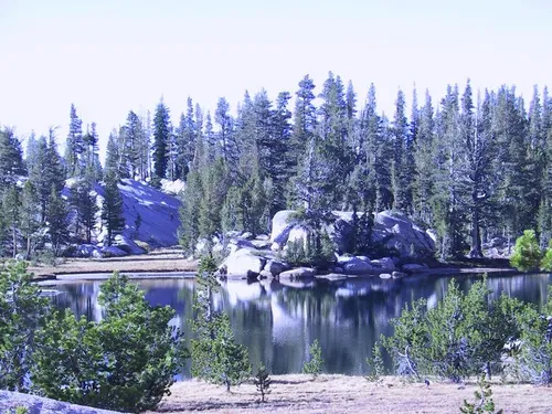 Photo 23 from Yosemite, 2001