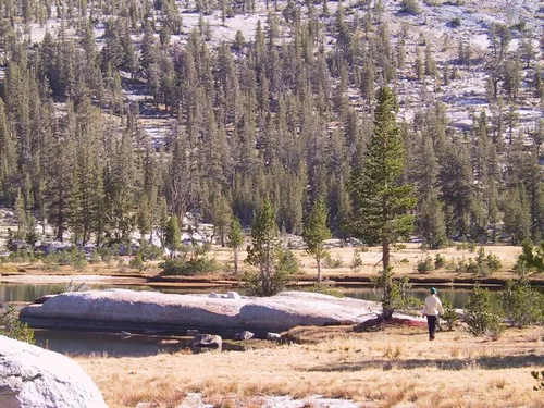 Photo 27 from Yosemite, 2001