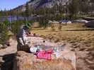 Archival fragment 65 from Yosemite, 2001
