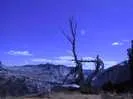 Archival fragment 86 from Yosemite, 2001