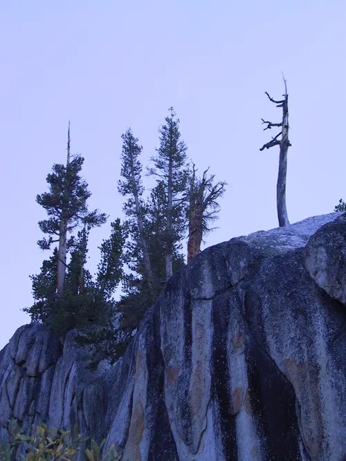 Photo 47 from Yosemite, 2001